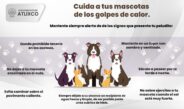 BIENESTAR ANIMAL ATLIXCO, TE INVITA A CUIDAR A TUS MASCOTAS DURANTE ESTA TEMPORADA DE CALOR.